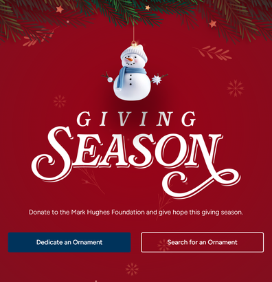 You can contribute to the virtual Christmas tree and help brain cancer research.