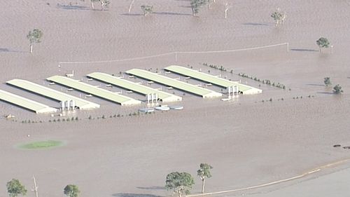 Floodwaters reach the rooftops of buildings. (9NEWS)