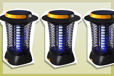 9PR: Roll over image to zoom in
Gecko Rechargeable Solar USB Bug Zapper