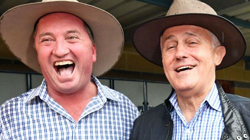 Barnaby Joyce and Malcolm Turnbull in happier times. 