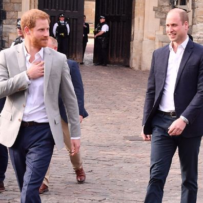 William and Harry Diana interview