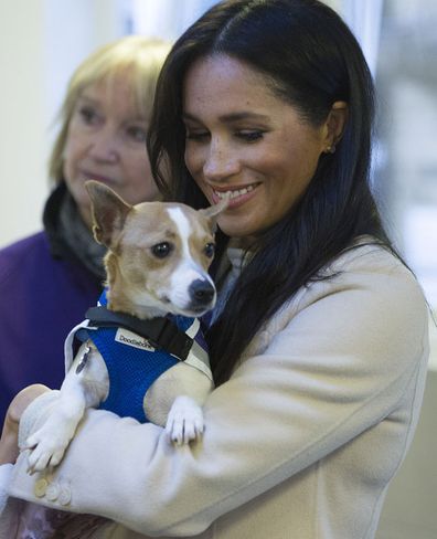 Meghan The Duchess of Sussex holds Jack Russel dog called "Minnie" during her visit to Mayhew animal welfare charity on Wednesday Jan. 16, 2019, to meet with volunteers to hear about welfare initiatives, community engagement and international projects carried out by the charity. 