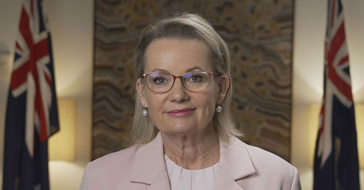 Ley insists she's 'up for the job' after Liberal senator unloads