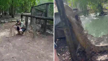 A Queensland ranger is recovering after being bitten by a crocodile at a Townsville wildlife sanctuary.
