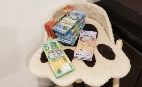 A property at Tingalpa was also raided, where a further kilogram of cannabis and more than $9000 in cash was seized.

