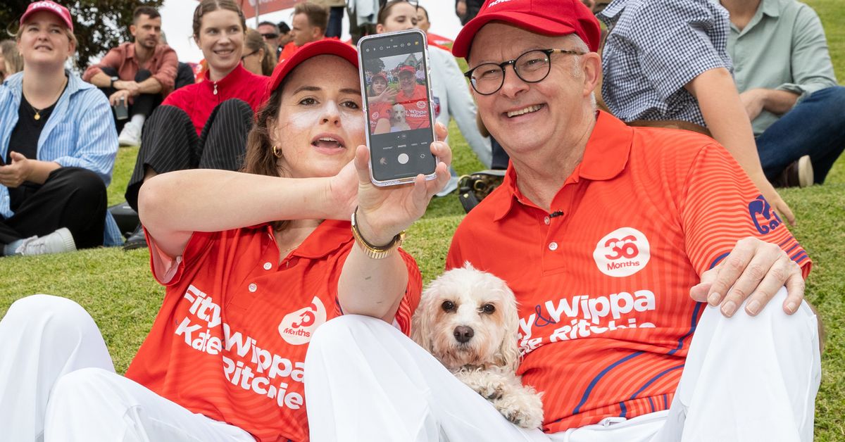 Fitzy & Wippa dengan kriket halaman belakang Kate Ritchie | Dalam gambar termasuk Anthony Albanese, Raygun dan Nedd Brockmann