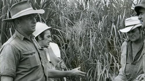 John Wallman helps searchers look for his daughter Marilyn near Bucasia.