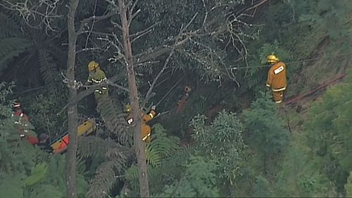 The car has reportedly been winched up. (9NEWS)