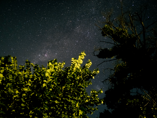 Night sky captured with the Samsung S23