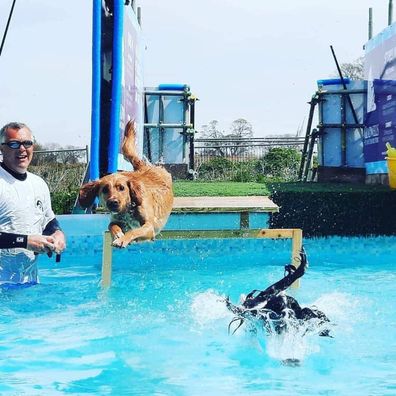 'Canine Dip and Dive' pool makes a splash with British pups.