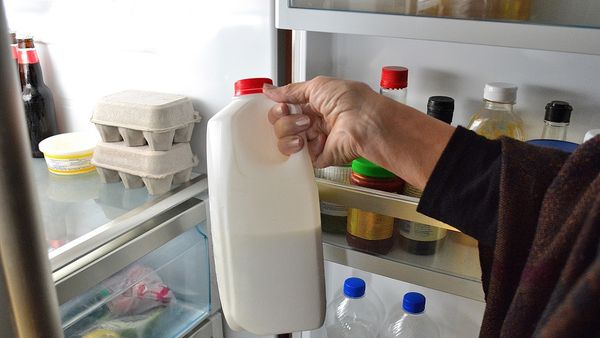 where to keep milk in fridge