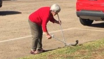 Victorian snake catcher L﻿orna King.