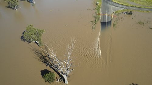 Inondations le long de la rivière Namoi près de la ville NSW de Narrabri.  