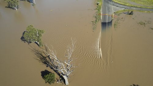 Flooding along the Namoi River near the NSW town of Narrabri.  