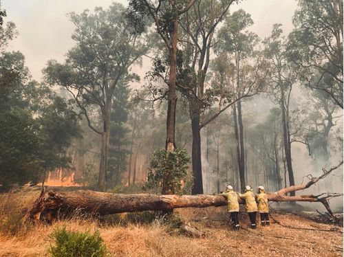 The two fires in Denmark and Bridgetown have together burned through almost 4700 hectares