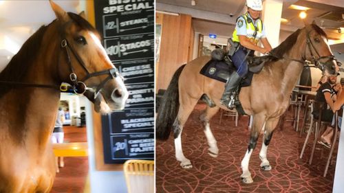 Sydney pub manager invites mounted police officer in for a ‘neigh-bourly’ chat