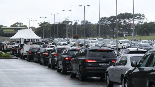 Large lines for COVID-19 testing at Heffron Park, Sydney