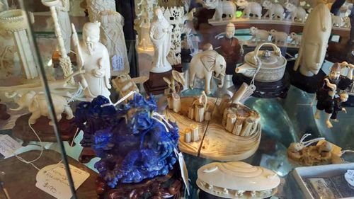 Ivory displayed for sale at a Gold Coast antiques store. Photo: For the Love of Wildlife.