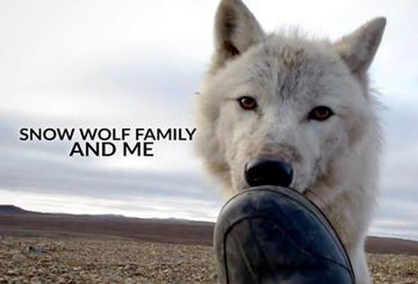 Snow Wolf Family & Me