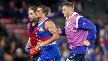 Dogs star ruled out 'indefinitely' after scary concussion