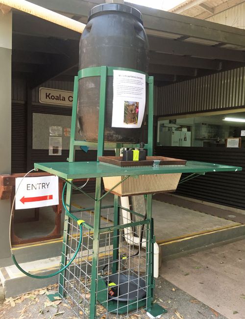 A prototype of the drinking stations which will be rolled out to help dehydrated koalas. 