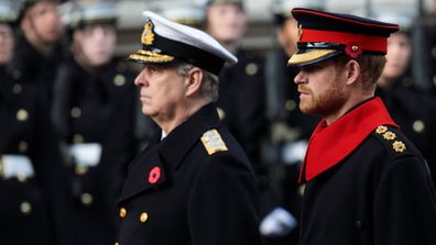 Prince Andrew, Prince Harry on Remembrance Sunday 2019