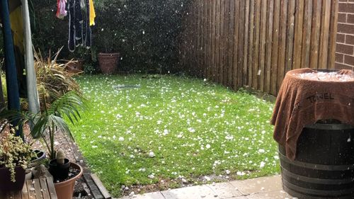 Backyards across the city were blanketed with hail.