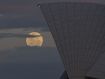 The Supermoon rises behind the Opera House on November 14, 2016 in Sydney, Australia. 