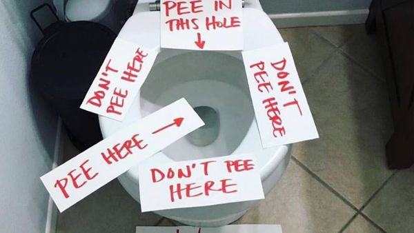 Pee here: Kristina covered her toilet in notes to help stop toilet mess.