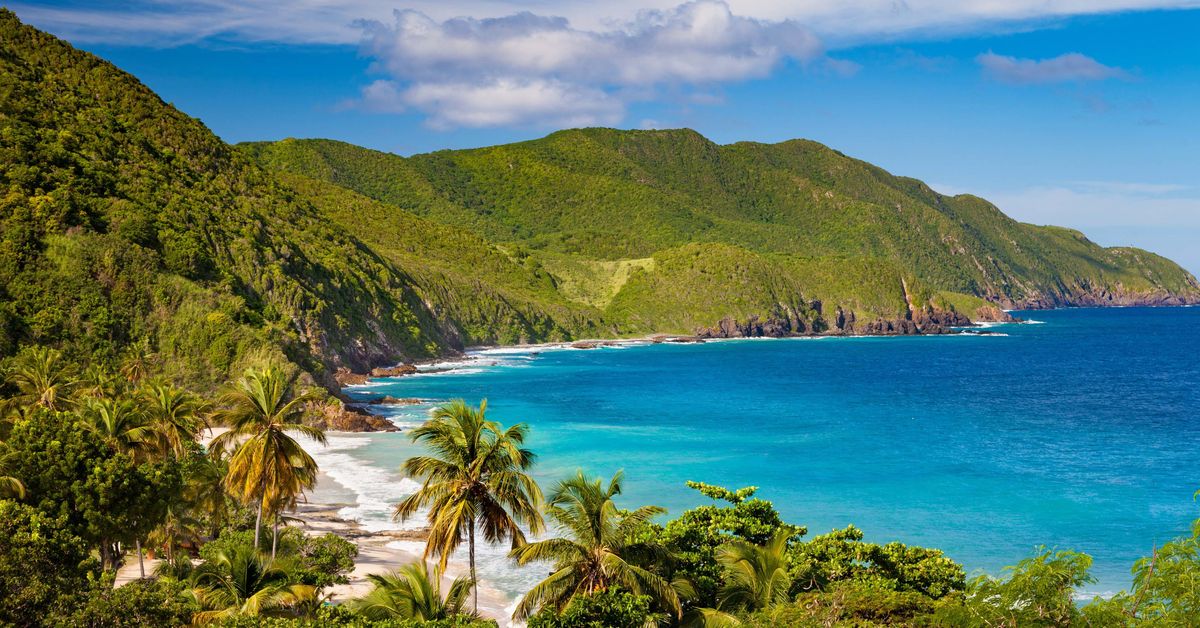 Shark kills American woman in the US Virgin Islands