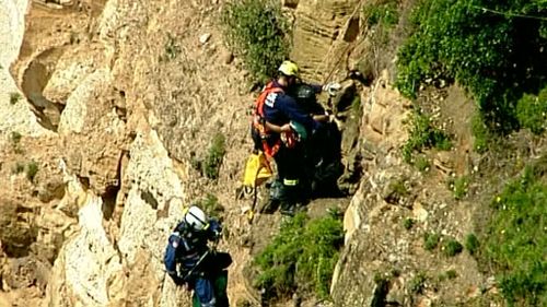 Hang glider rescued after becoming stranded on Sydney cliff