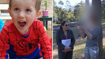 William Tyrrell disappearance inquest foster mum video