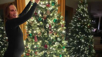 Hilary Swank shares sweet festive photo and shows off her baby bump at home with her dogs.