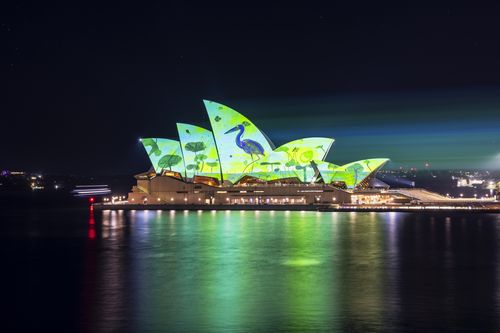 شب افتتاحیه Vivid Sydney 2023