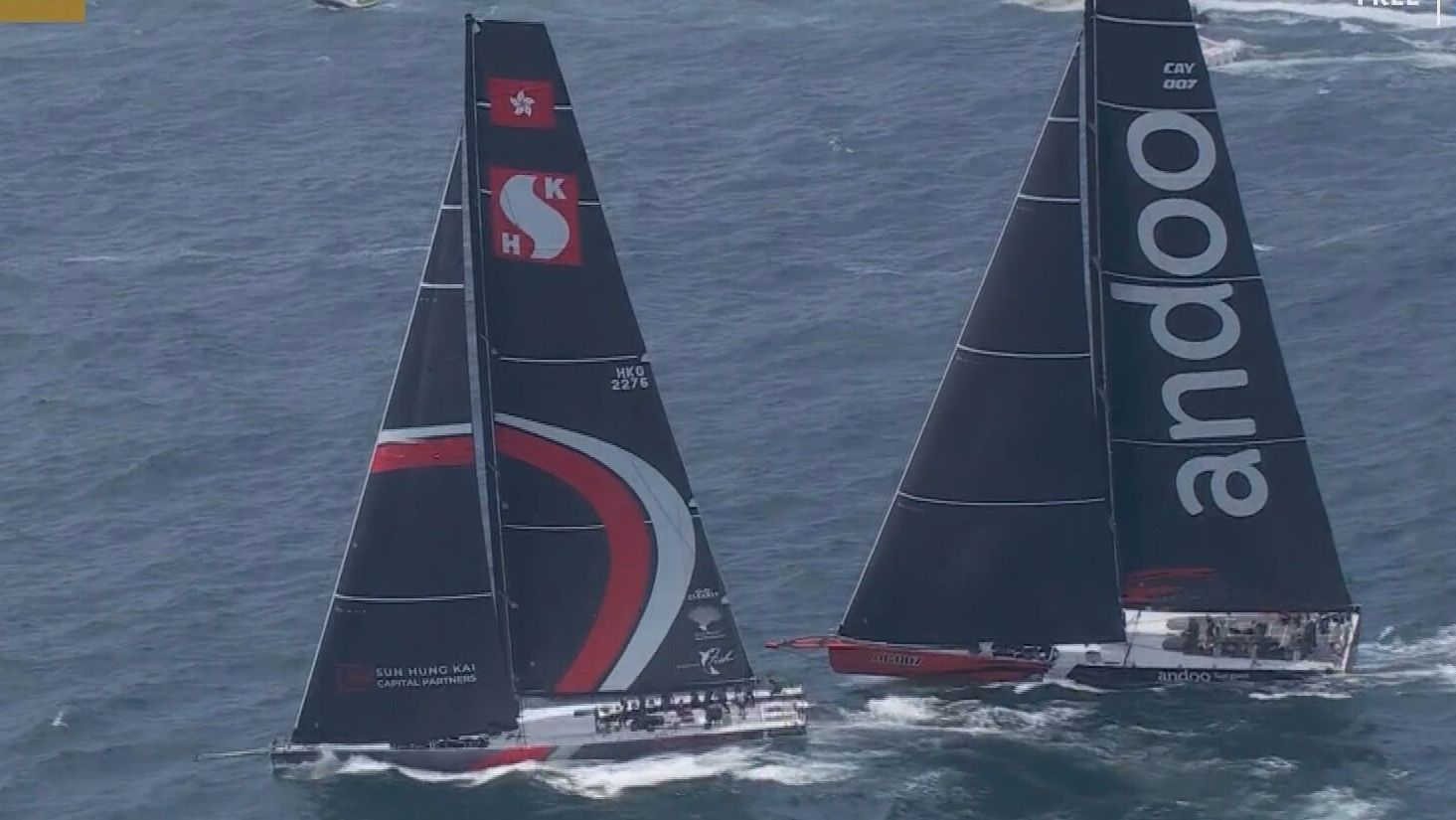 Scallywag almost collided with Andoo Comanche in the Sydney to Hobart.