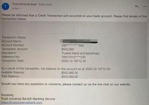 A screenshot of the fraudulent bank account which appeared to show a balance of more than half a million dollars.