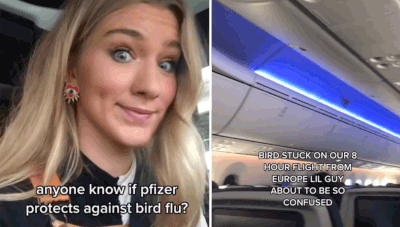 14. Birds on a plane
