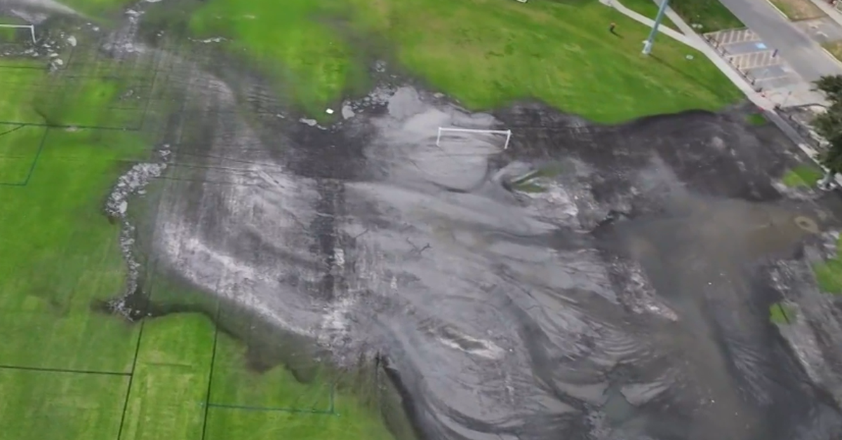 'Really disruptive event': Disgusting problem spreading in Perth