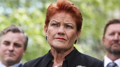 One Nation leader Senator Pauline Hanson during a press conference at Parliament House in Canberra on Monday 19 January 2026.
