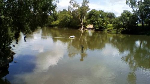Seven rescued from croc-infested waters in the Northern Territory