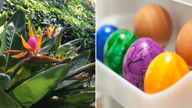 Clever Easter egg hiding spots gallery split pic