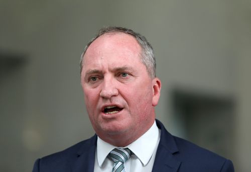 Deputy Prime Minister Barnaby Joyce (AAP).