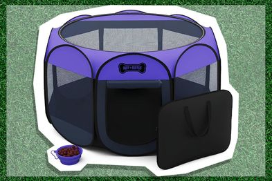 9PR: Ruff 'n Ruffus Pet Playpen