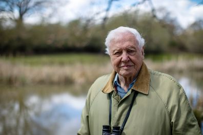 David Attenborough, The Earthshot Prize