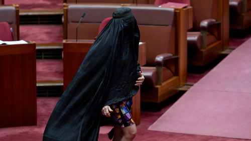 Senator Pauline Hanson wears a burqa in the Senate at Parliament House in Canberra on November 24, 2025. fedpol Photo: Dominic Lorrimer

