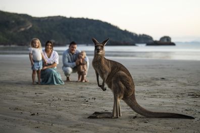 Sunrise with the wallabies on the beach