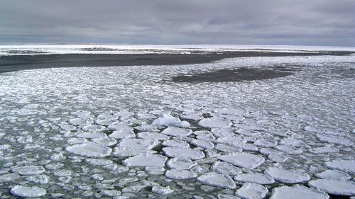 This January 2017 photo provided by Ted Scambos shows sea ice on the ocean surrounding Antarctica during an expedition to the Ross Sea. Ice in the ocean off the southern continent steadily increased from 1979 and hit a record high in 2014. But three years later, the annual average extent of Antarctic sea ice hit its lowest mark, wiping out three-and-a-half decades of gains, and then some, according to a study in the Proceedings of the National Academy of Sciences on Monday, July 1, 2019.