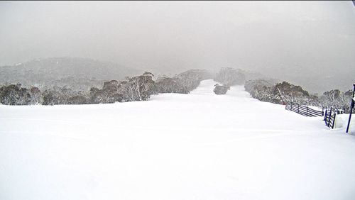 Thredbo snow