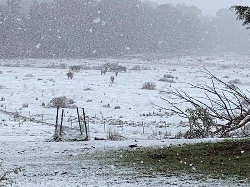 190529 Australia snow forecast weather Bathurst NSW news today