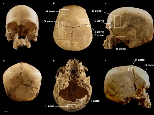 Marcel Loubens cave skull